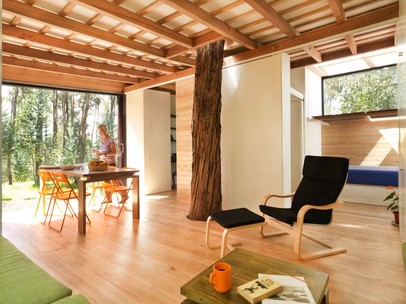Picture of a living room made with sustainable materials and lots of windows for light