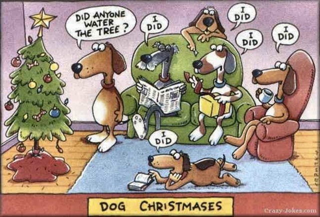 Picture of dogs around a Christmas tree