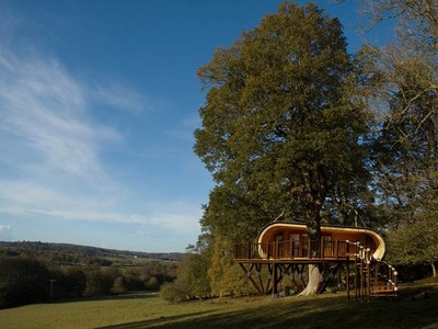 Picture of a tree house