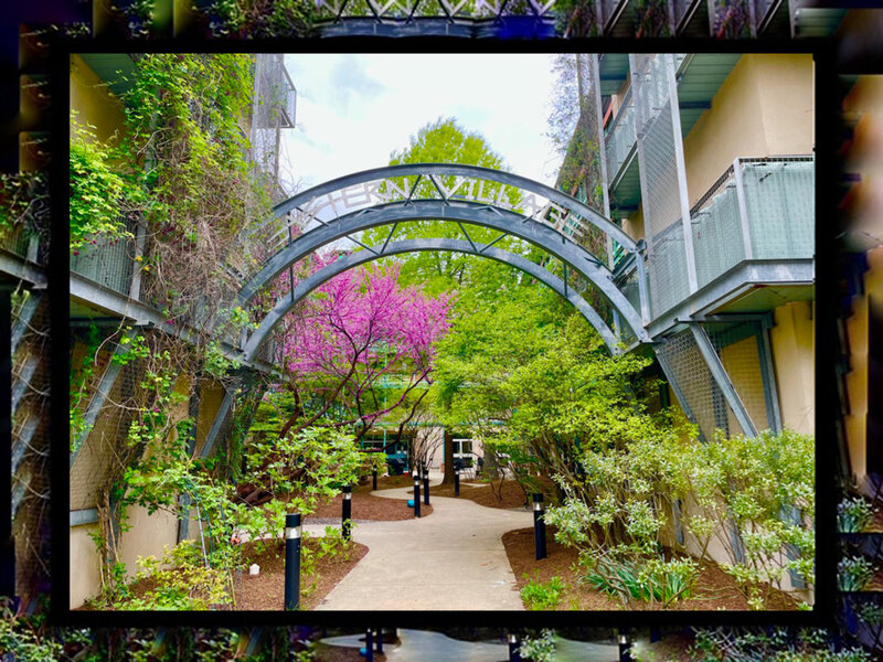Eastern Village Cohousing walkway and archway leading to the front of building