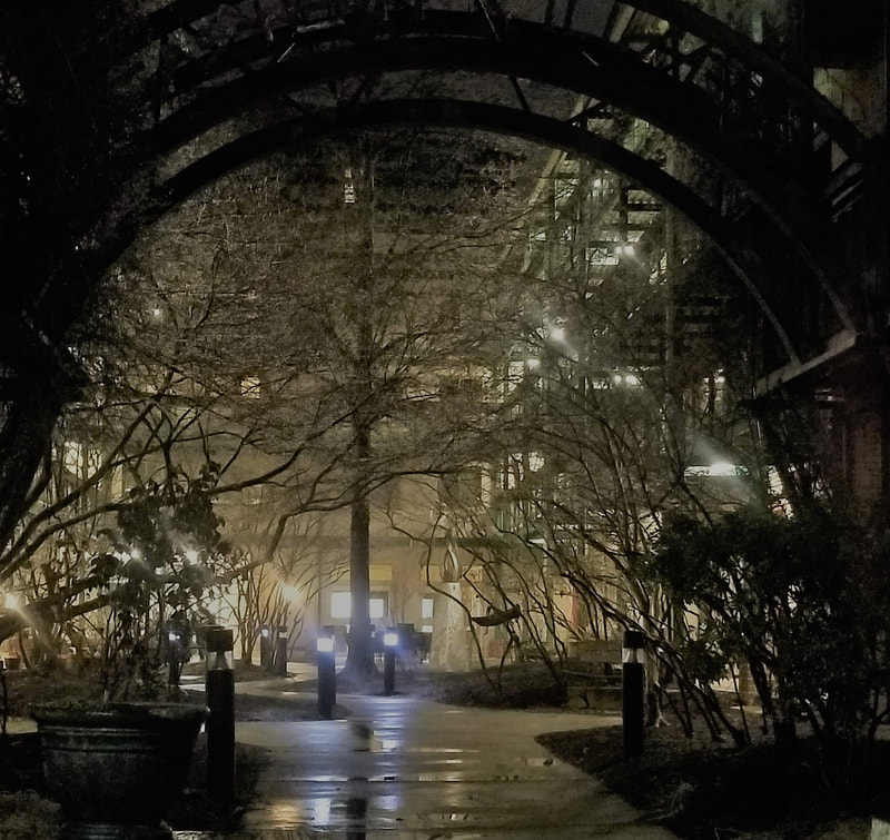 Courtyard view with trees at nighttime in Winter